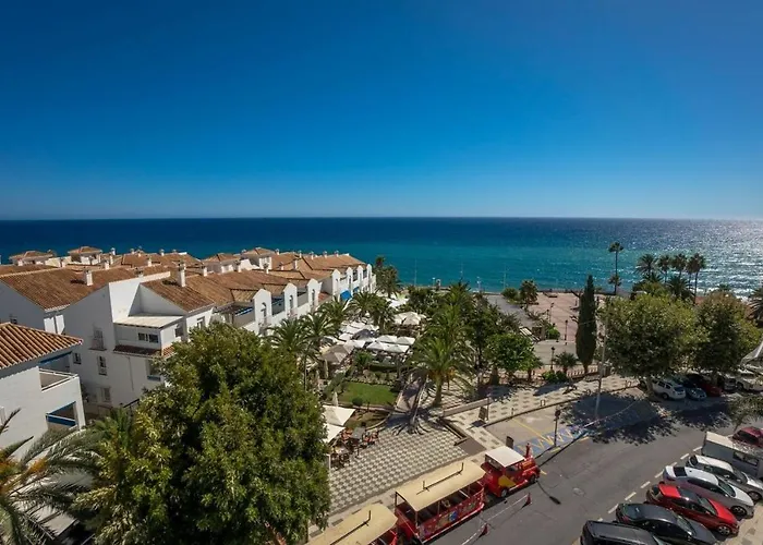 Delfin 5-8 Menyber ネルハ